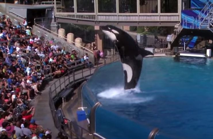 Death At Sea World: The gut-wrenching drama starts production in 2021